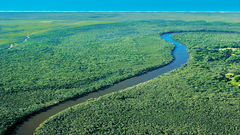 Explore the Noosa Everglades with by canoe and boat on the popular Cruise N' Canoe day tour ex Noosa.